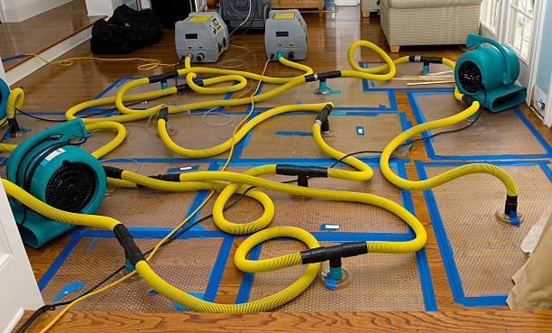 Professional Crawl Space Water Removal technician working in Hazelhurst, WI